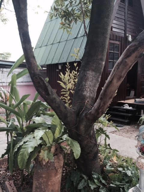 Bnr Resorts Bangkok Kültér fotó