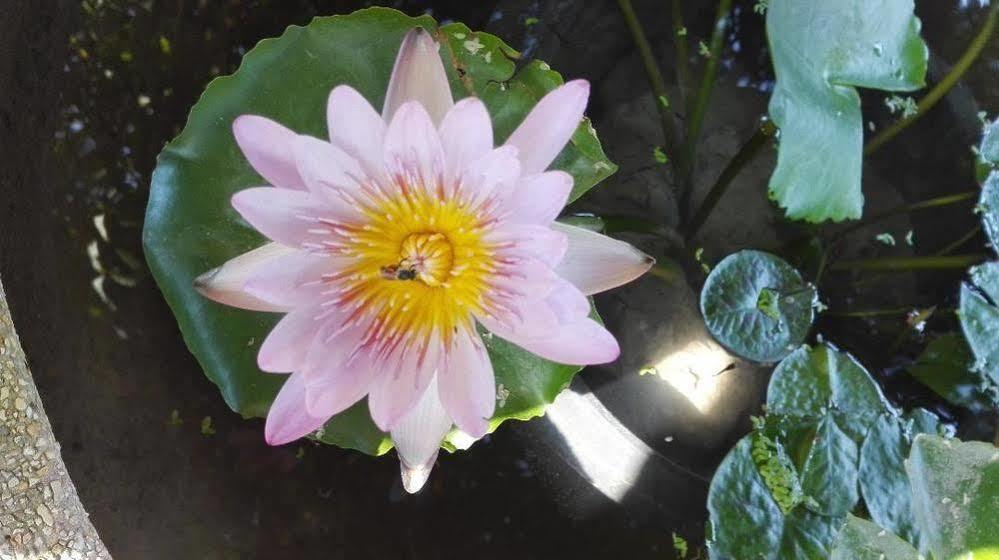 Bnr Resorts Bangkok Kültér fotó